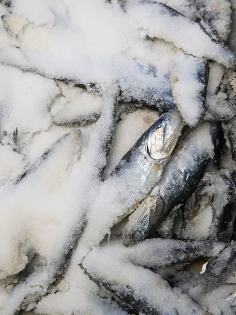 Frozen fish