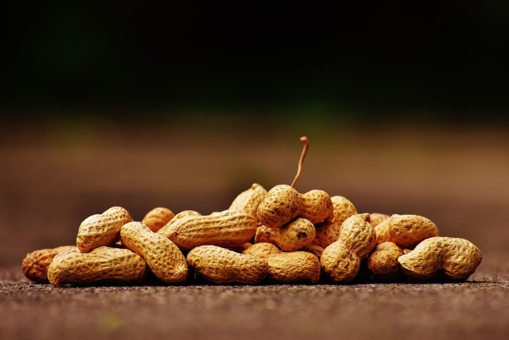 Groundnuts and peanuts