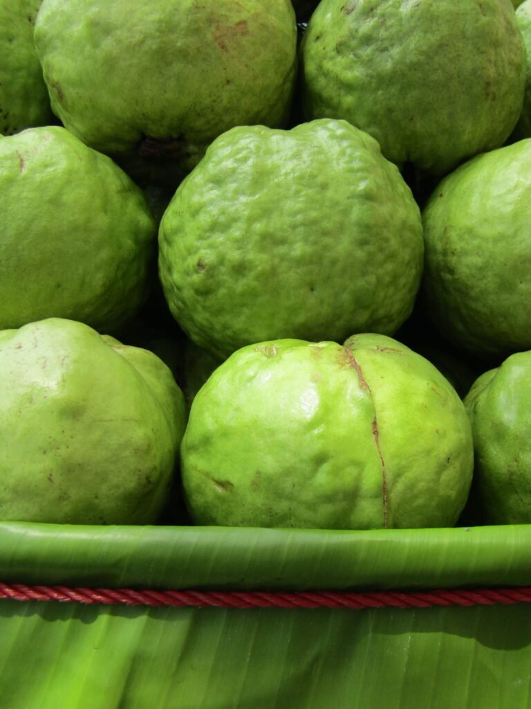 Guava