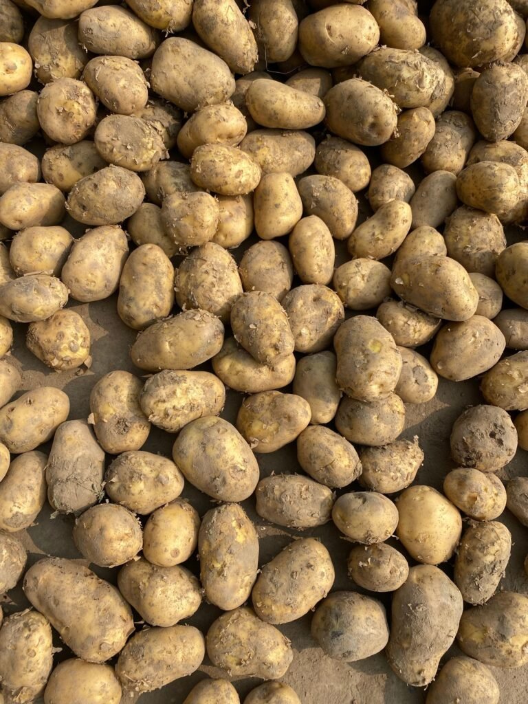 Potato